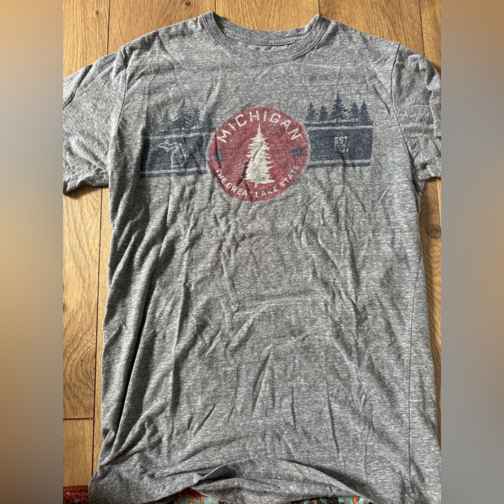 Gray Michigan Graphic T-Shirt